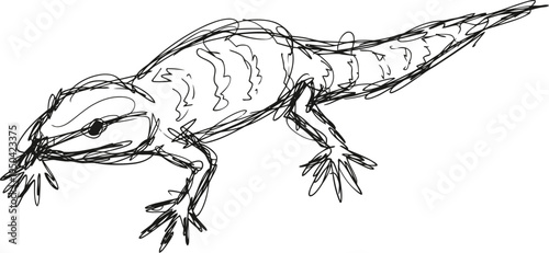 Sketch of a lizard crawling with detailed limb and head features in black ink line art