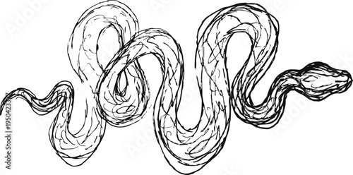 Curled snake illustration with textured scales and twisting body line art design