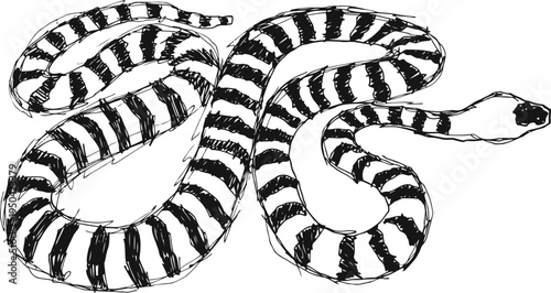 Black and white striped snake illustration, coiled reptile with bold pattern and smooth body contours