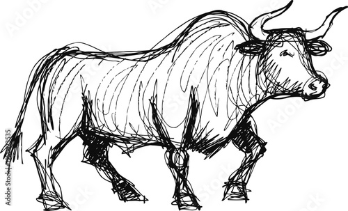 Hand drawn bull sketch illustration with dynamic lines and detailed textures in black ink