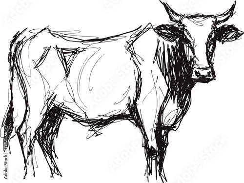 hand drawn sketch of a standing cow with detailed horns and expressive lines in black ink