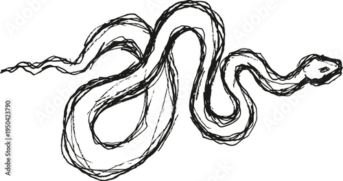 Hand drawn snake illustration in black and white, sketch reptile drawing with curved body and detailed head features