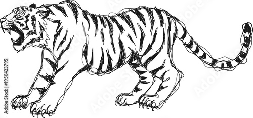 Roaring tiger line art illustration with detailed stripes and fierce expression