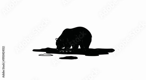 Black bear foraging on a log in the wild