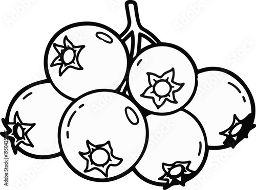 Bunch of blueberries with stems and star-shaped tops, outlined in black