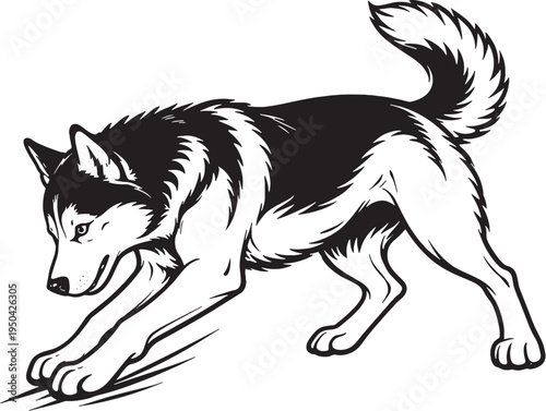 Siberian Husky Digging Action Three Quarter View Black and White Line Art Illustration