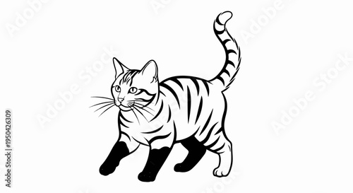 Black and white drawing of a striped cat with dark paws