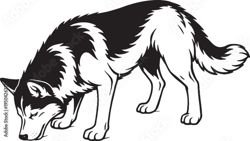 Siberian Husky Eating Posture Side View Black and White Line Art Illustration