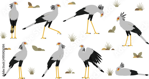 Secretary Bird Wildlife Illustration Set Featuring Standing, Walking, Hunting, and Resting Poses of African Savanna Bird of Prey.