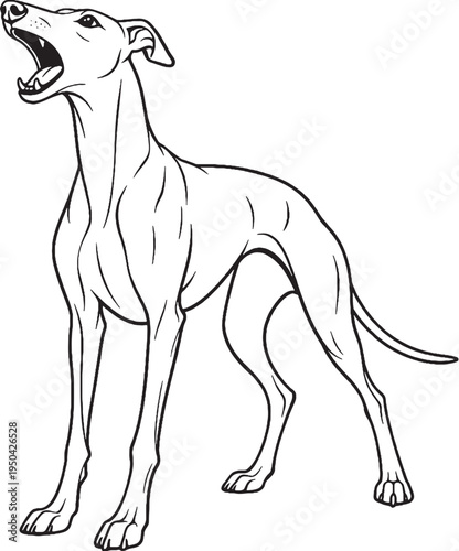 Greyhound Barking Alert Standing Pose Black and White Line Art Illustration