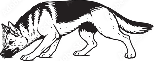 German Shepherd Sniff Tracking Nose Down Black and White Line Art Illustration