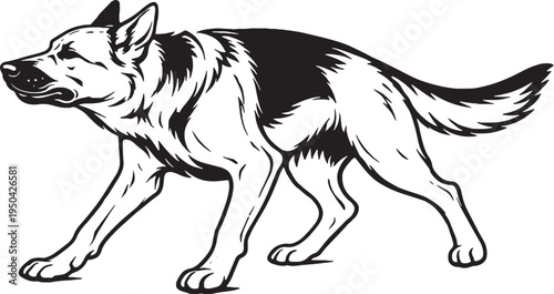 German Shepherd Shaking Water Off Full Body Pose Black and White Line Art Illustration