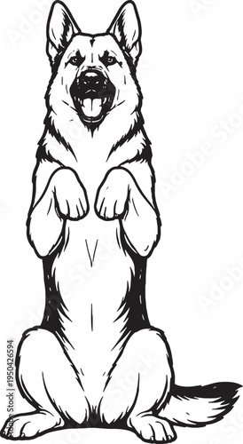German Shepherd Sitting Beg Pose Front View Black and White Line Art Illustration