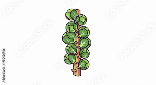 A stylized drawing of a stalk of Brussels sprouts on a light background