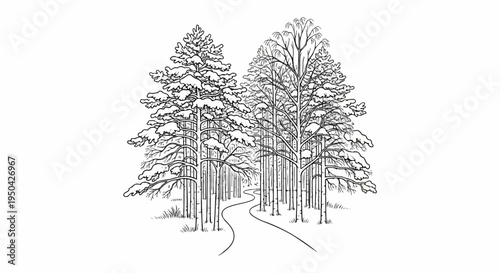 A whimsical winter scene depicts a winding path through snow-dusted pine trees