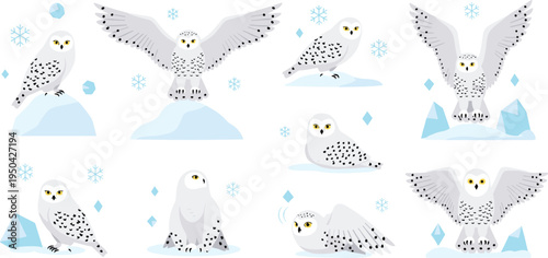 Snowy Owl Bird Wildlife Illustration Set Featuring Flying, Perching, Sitting, and Spreading Wings Poses in Arctic Winter Landscape with Ice and Snowflakes.