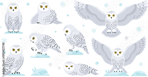 Snowy Owl Wildlife Illustration Set Featuring Flying, Perching, Sitting, and Resting Poses with Snowflakes and Ice in Arctic Winter Scene.