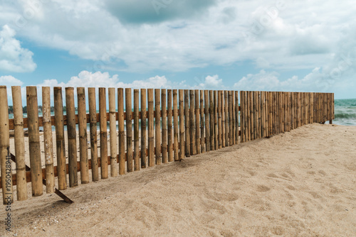 Bamboo fence installed on sandy beach to protect coastline from erosion