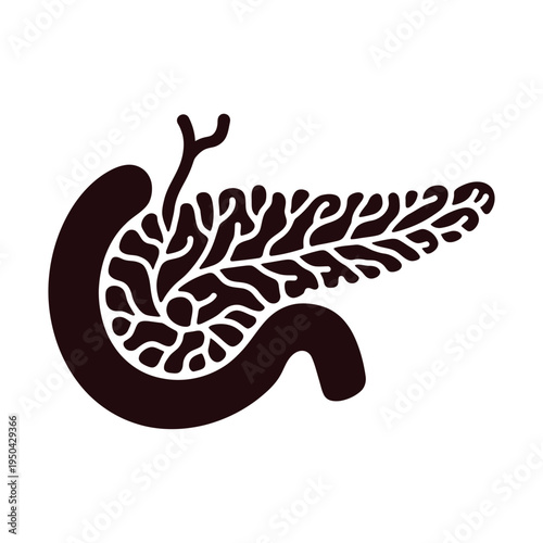 Detailed illustration of a human pancreas organ showing internal structure