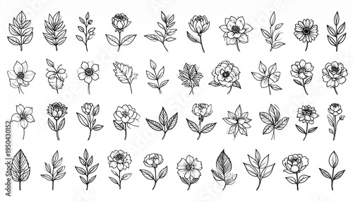 Botanical Flower Line Icon Set with Lotus and Floral Outline Illustrations