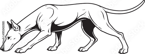 Doberman Pinscher Tracking Nose Down Side View Black and White Line Art Illustration