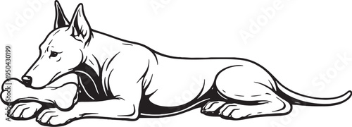 Doberman Pinscher Lying Down Chewing Bone Side View Black and White Line Art Illustration