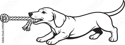 Dachshund Tugging Rope Pull Stance Black and White Line Art Illustration
