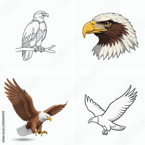Collection of four different eagle illustrations in various poses and styles flying and perched