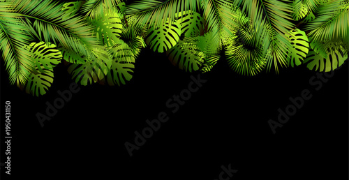 Palm leaves background on black. hand drawn. Not AI, Vector illustration