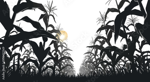 A sunlit path through a dense, silhouetted cornfield at dawn