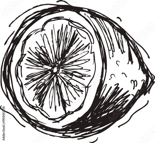 Hand drawn half lemon with detailed pulp and textured outer peel isolated on white background