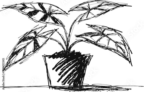 Hand drawn potted plant sketch with broad leaves on a simple surface, black ink illustration