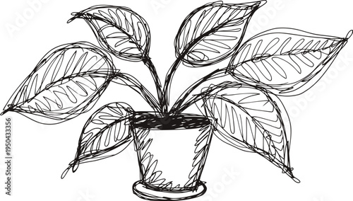 Hand drawn potted plant sketch with large leaves decorative floral indoor greenery illustration
