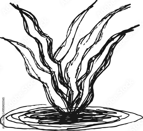 black and white sketch of underwater seaweed growing from the ocean floor with flowing leaves