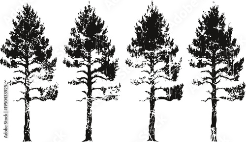 Black pine tree silhouettes set tall coniferous trees with detailed branches and needles nature vector design