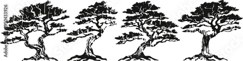 four stylized bonsai trees in black silhouette with intricate twisted branches and detailed foliage