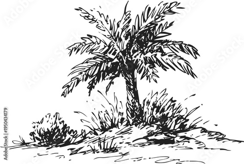 hand drawn palm tree with grass and shrubs on sandy ground, tropical nature sketch