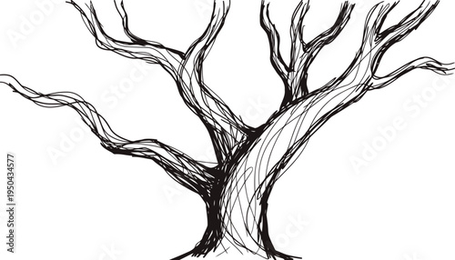 leafless tree with twisted branches hand drawn black ink sketch of bare tree silhouette winter or autumn nature illustration