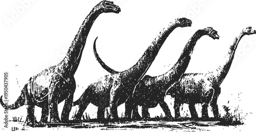 group of long necked dinosaurs walking together in prehistoric landscape illustration
