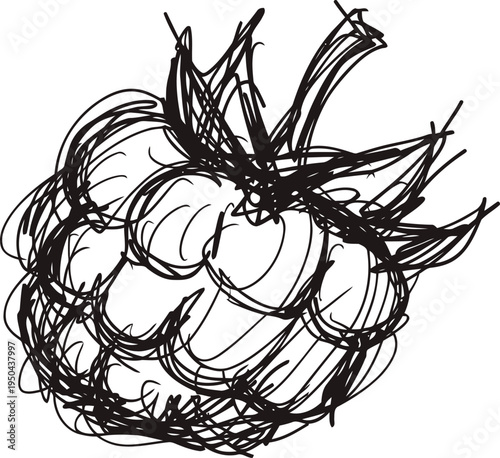 Hand drawn black and white illustration of a ripe raspberry with leaves and stem