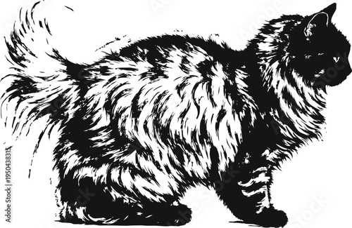 Black fluffy cat silhouette standing side view with detailed long fur and bushy tail