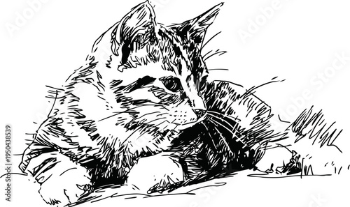 resting cat illustration hand drawn sketch of a lying domestic kitten in calm pose, black ink drawing
