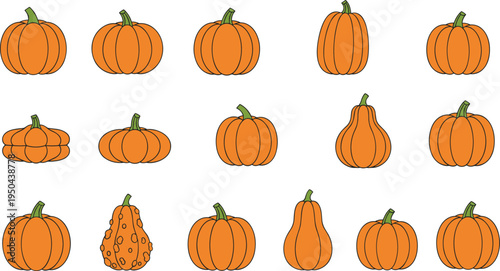 Collection of fifteen pumpkins and gourds arranged in rows with diverse shapes, sizes, ribbing, and textures, ideal for autumn, harvest, fall, and seasonal decoration themes