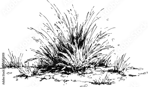 Wild grass clump illustration with detailed texture and scattered leaves on the ground