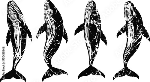 whale silhouette illustration in black and white marine life ocean creatures design nautical themed graphics set