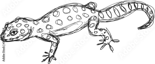 hand drawn spotted lizard illustration reptile sketch with textured skin and curved tail