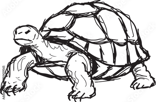 sketch of a tortoise walking with detailed shell and textured limbs in black and white line art
