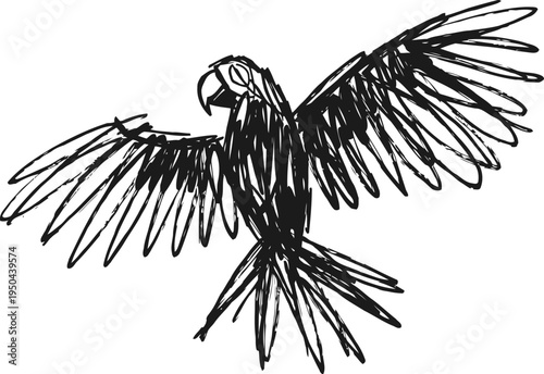 Sketch of a flying parrot with spread wings drawn with rough black lines