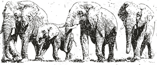 Black and white illustration of a family of elephants walking together in nature