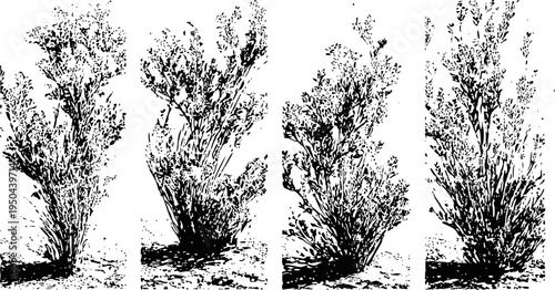 Four vertical bushes with dense foliage variety isolated on white background botanical natural plants sketch set